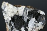 Quartz Crystal and Bladed Hematite Association - China #175877-1